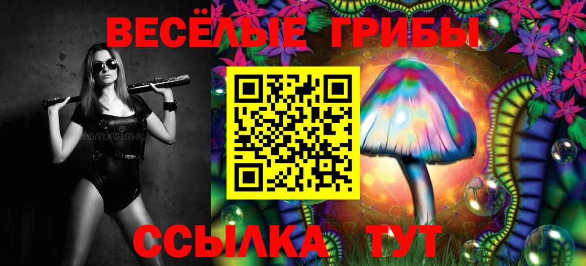 Псилоцибиновые грибы Cubensis  Псилоцибиновые грибы GOLDEN TEACHER  Воткинск  Вход с VPN 